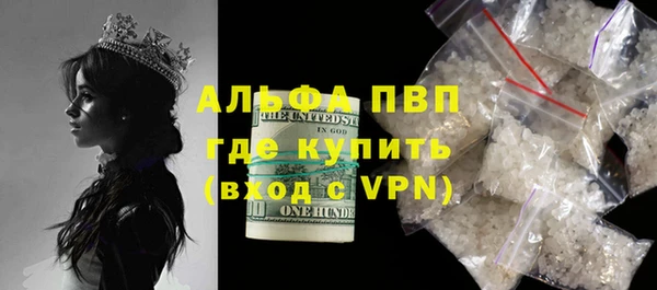 индика Абинск