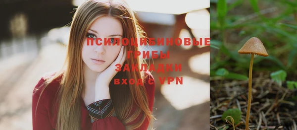 индика Абинск