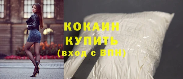индика Абинск