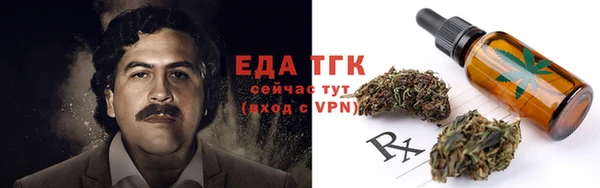 индика Абинск