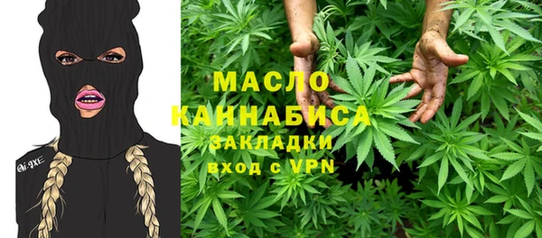 индика Абинск