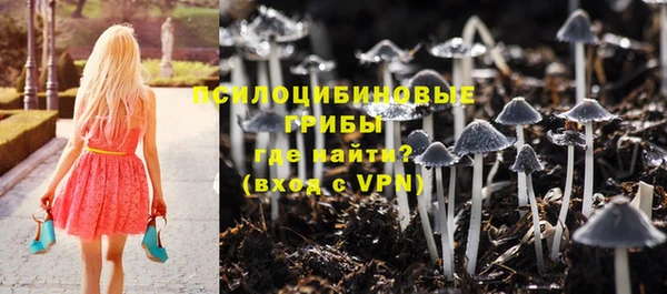 индика Абинск