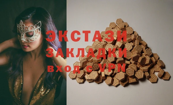 индика Абинск