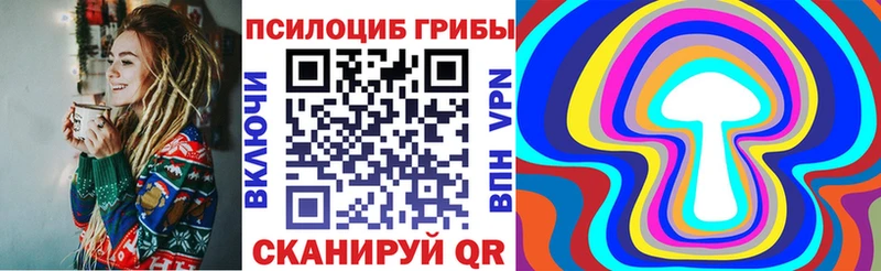 Псилоцибиновые грибы Psilocybine cubensis Дербент